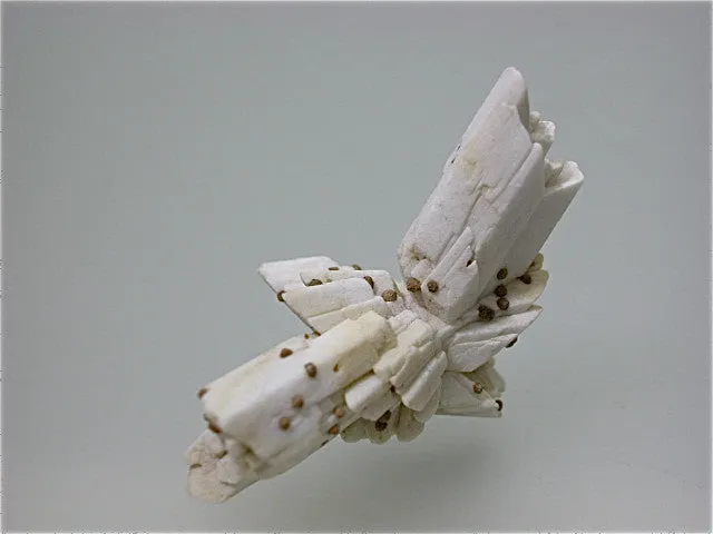 Calcite Pseudomorph after Selenite, Cavnic, Romania, Mined c. early 1980s, Kalaskie Collection #458, Miniature 3.0 x 4.0 x 5.0 cm, $250.  Online 1/14