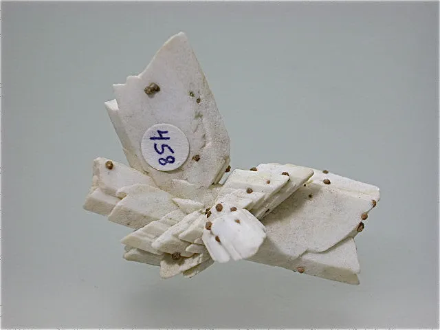 Calcite Pseudomorph after Selenite, Cavnic, Romania, Mined c. early 1980s, Kalaskie Collection #458, Miniature 3.0 x 4.0 x 5.0 cm, $250.  Online 1/14