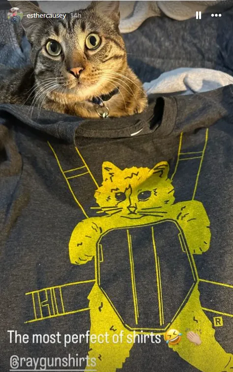 Cat Pack