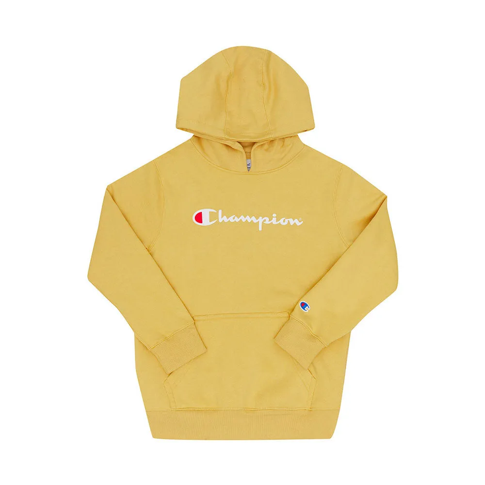 Champion Kids Script Hoodie