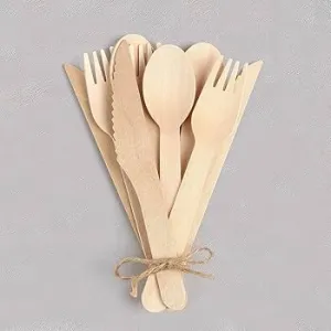 Cutlery Set Birch Wood Food Service - 1 x 500 count - Greenlid Cmpost - Packaging and Accessories - Restaurant Supplies and Equipment - Canadian Distribution