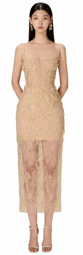 Daisy Corset Fine Lace Sheer Dress