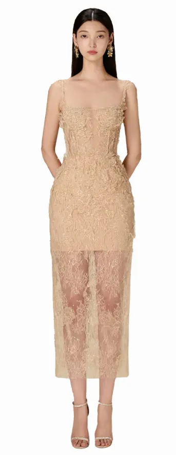Daisy Corset Fine Lace Sheer Dress