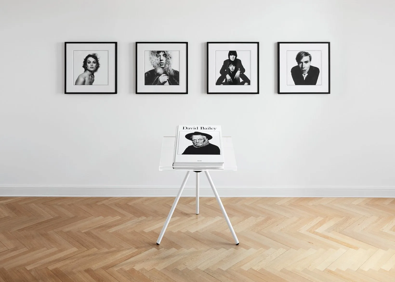 David Bailey SUMO
