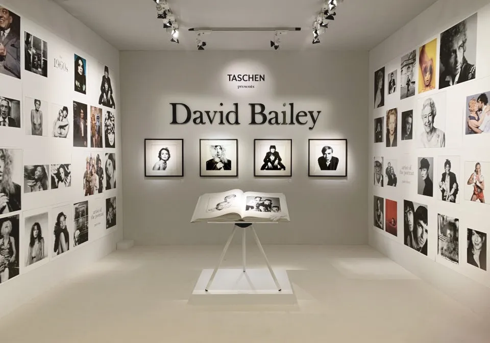 David Bailey SUMO