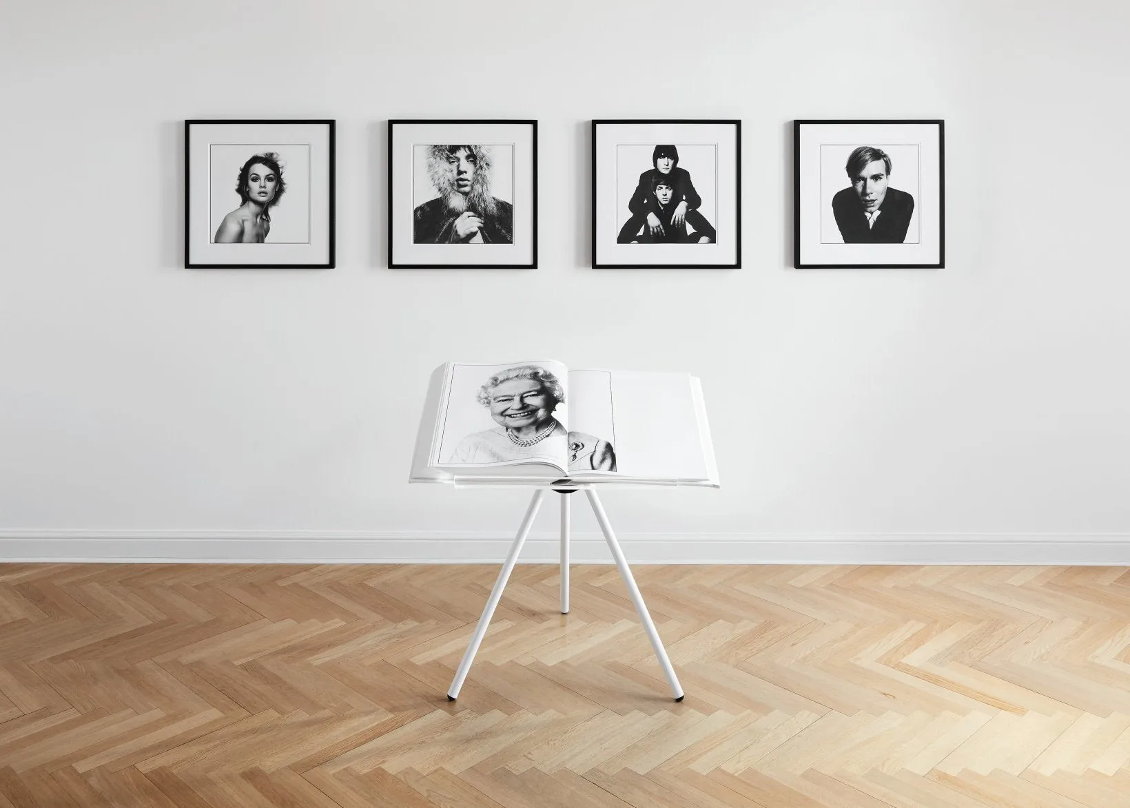 David Bailey SUMO
