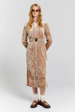Electric Velvet Shirt Dress Champagne