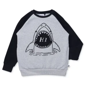 Hi Shark Furry Crew