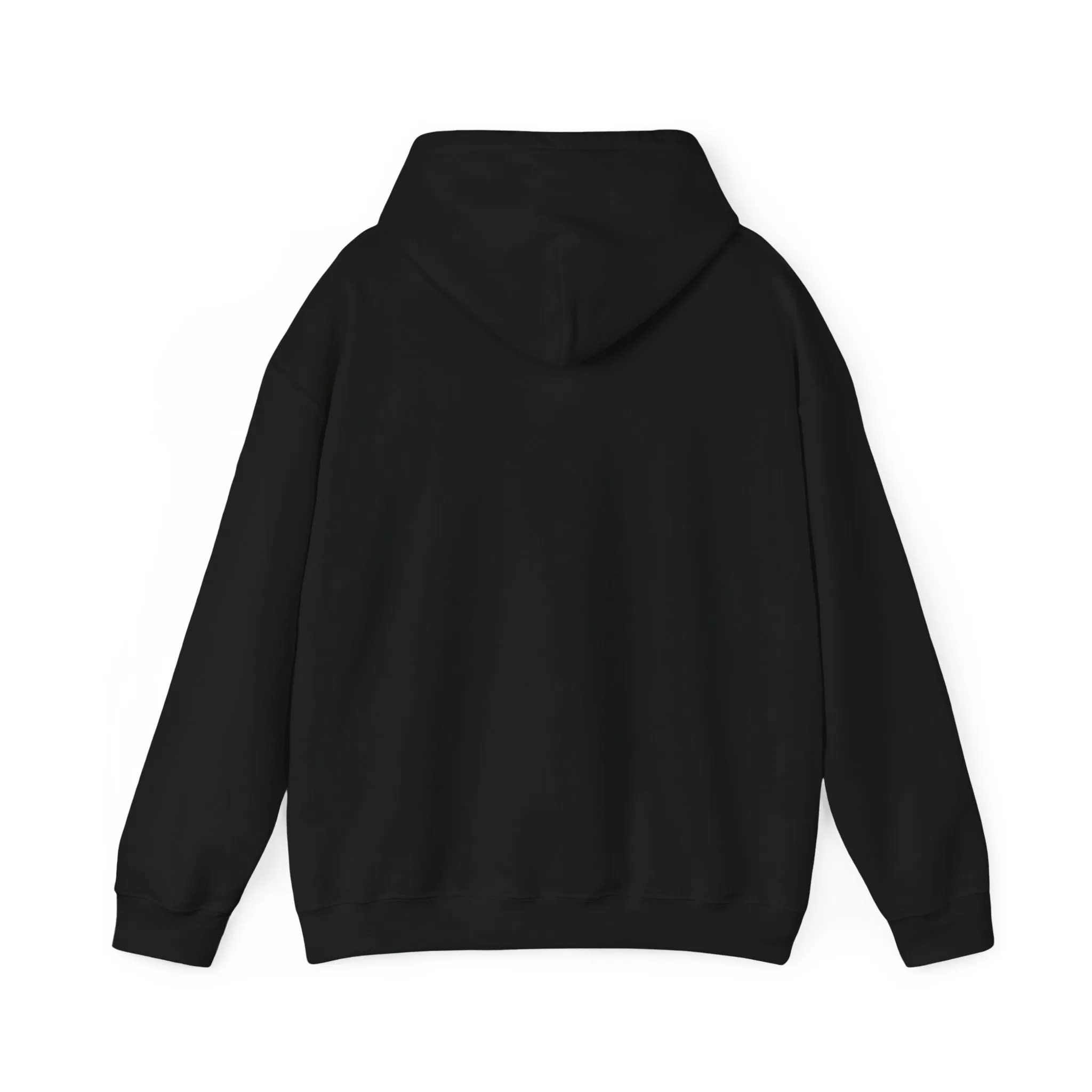 King of Kings Hooded Sweatshirt