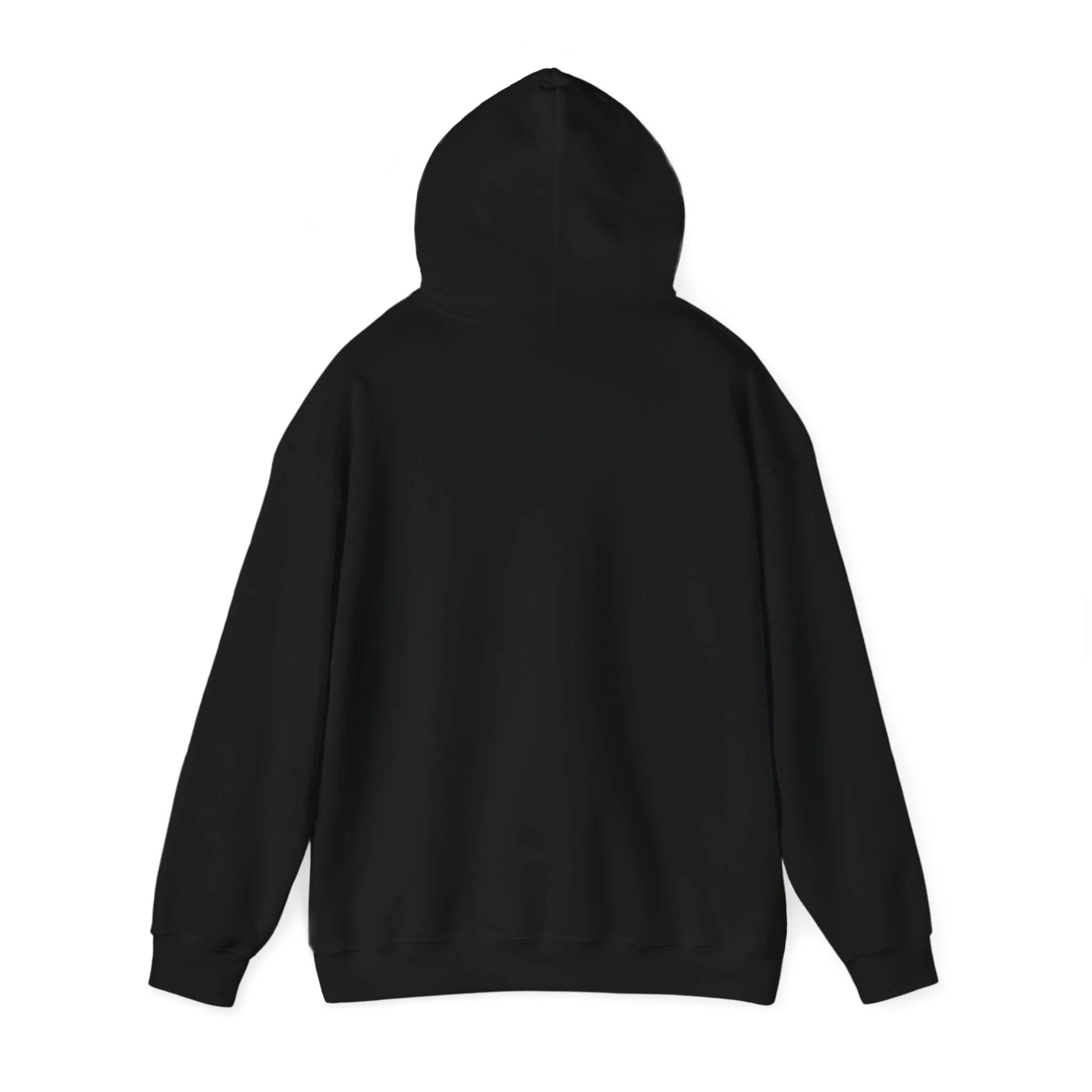 King of Kings Hooded Sweatshirt