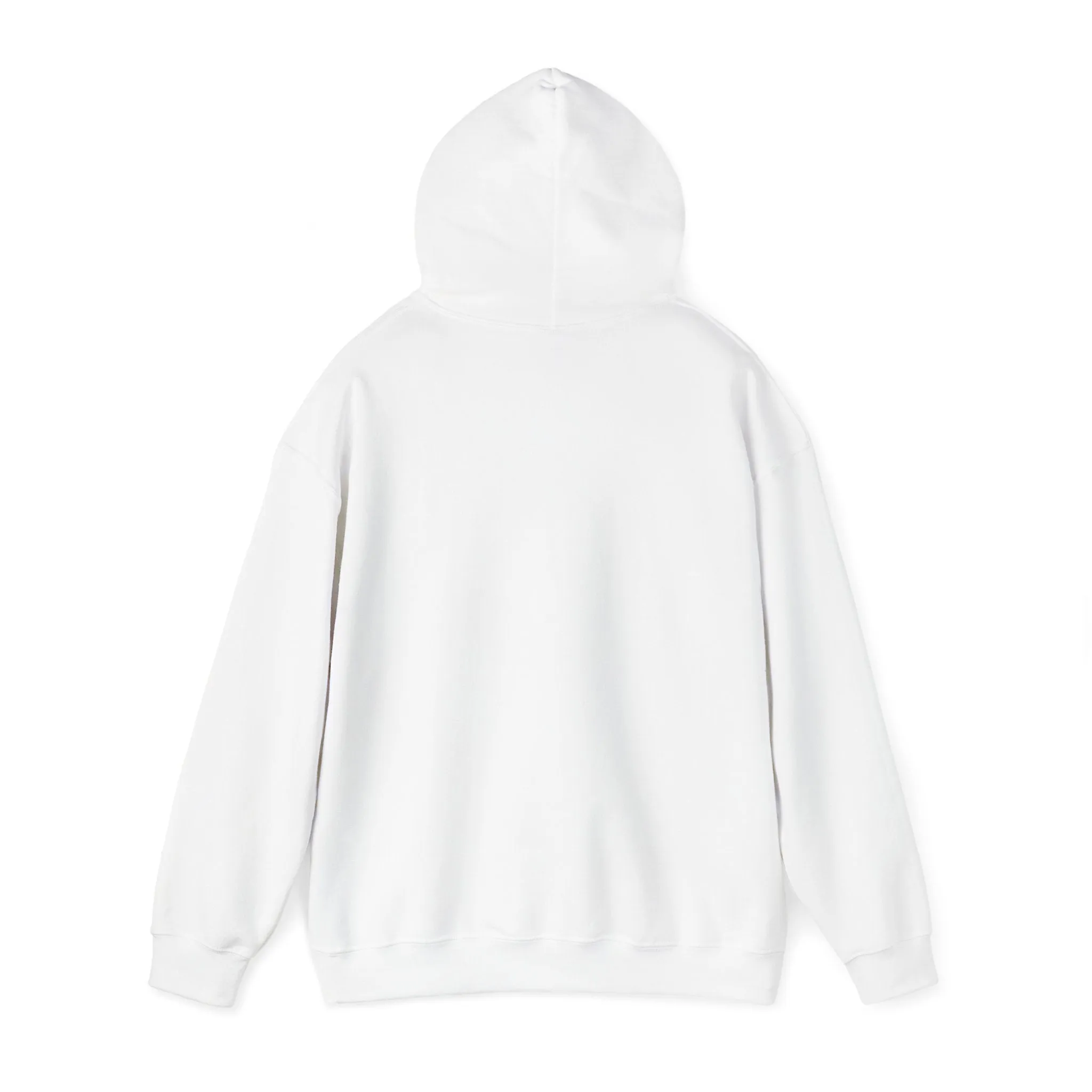 King of Kings Hooded Sweatshirt
