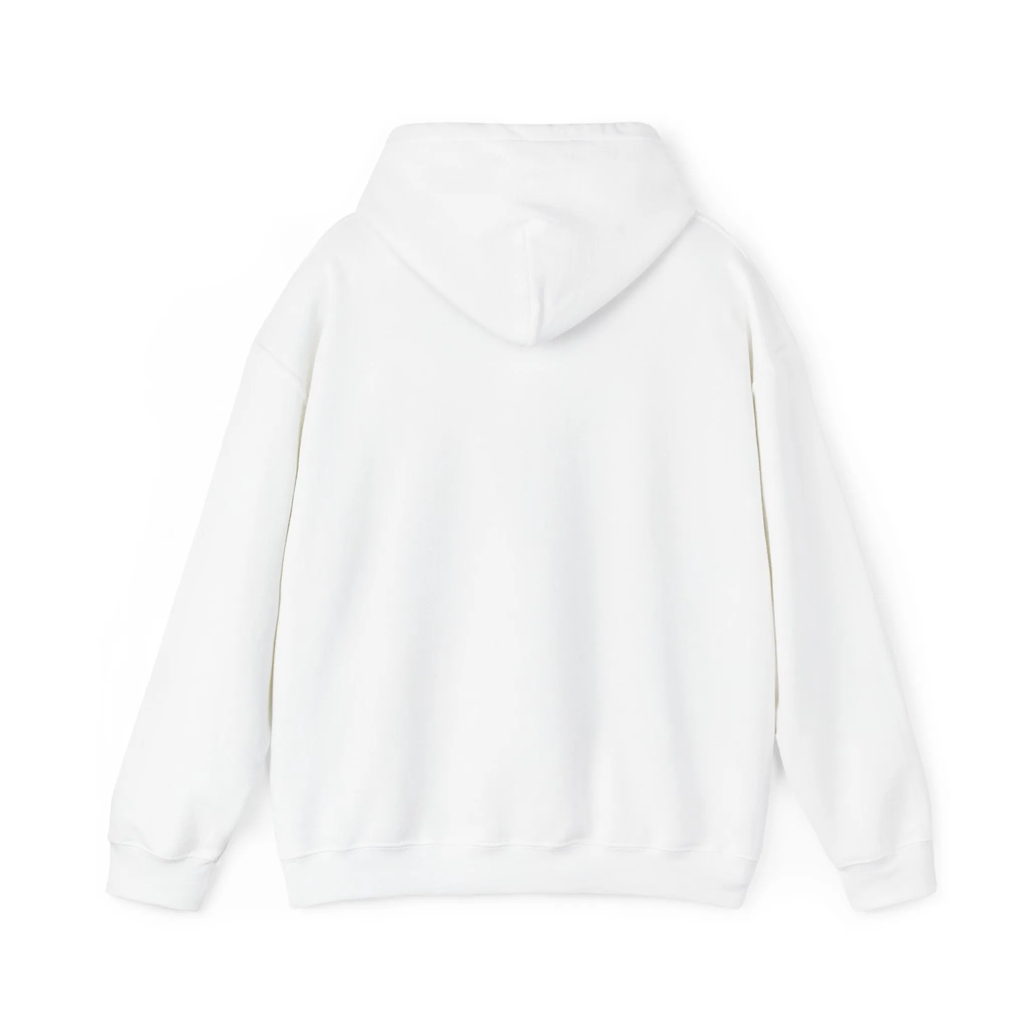 King of Kings Hooded Sweatshirt