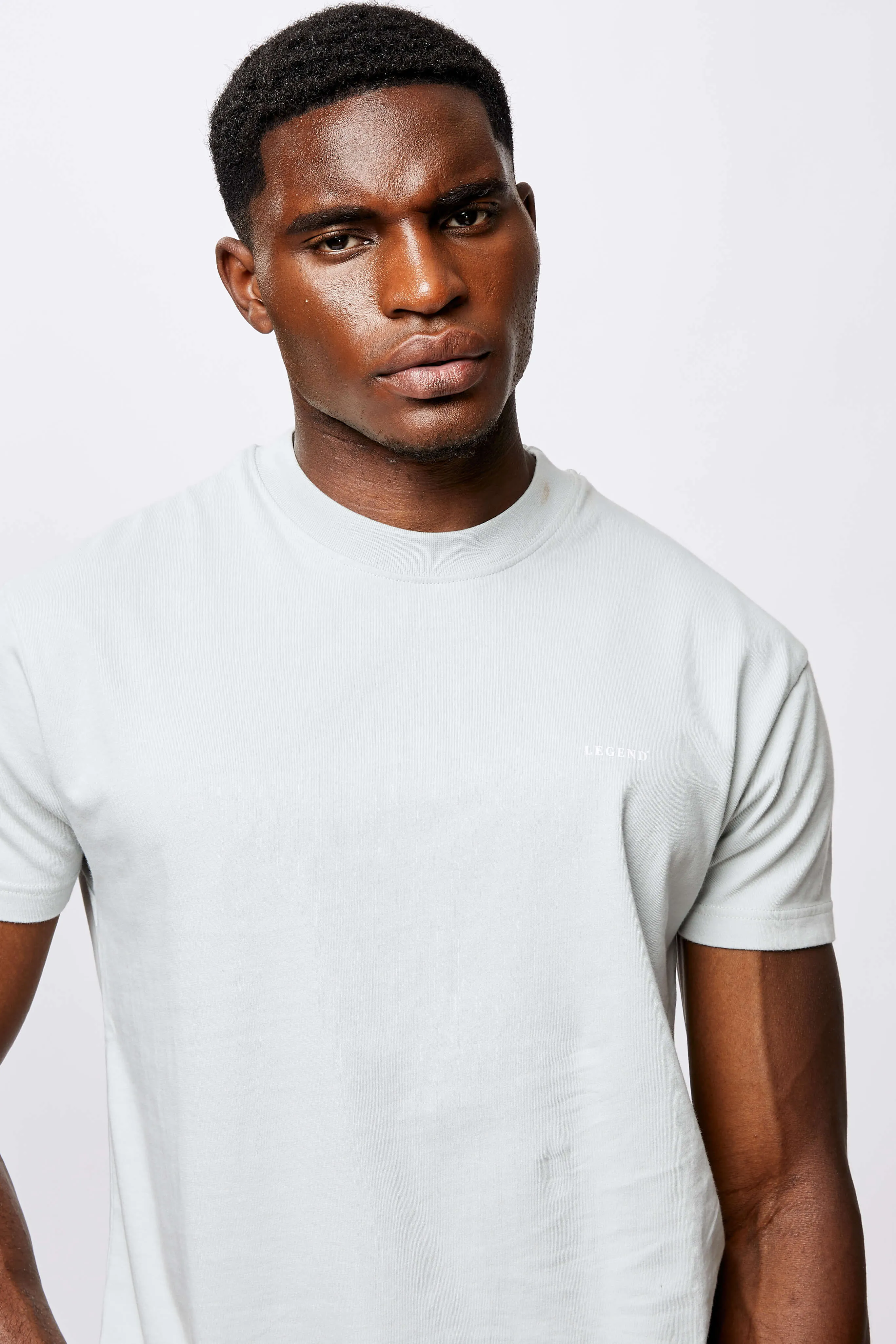 LEGEND* BASICS MUSCLE FIT T-SHIRT - PEARL GREY