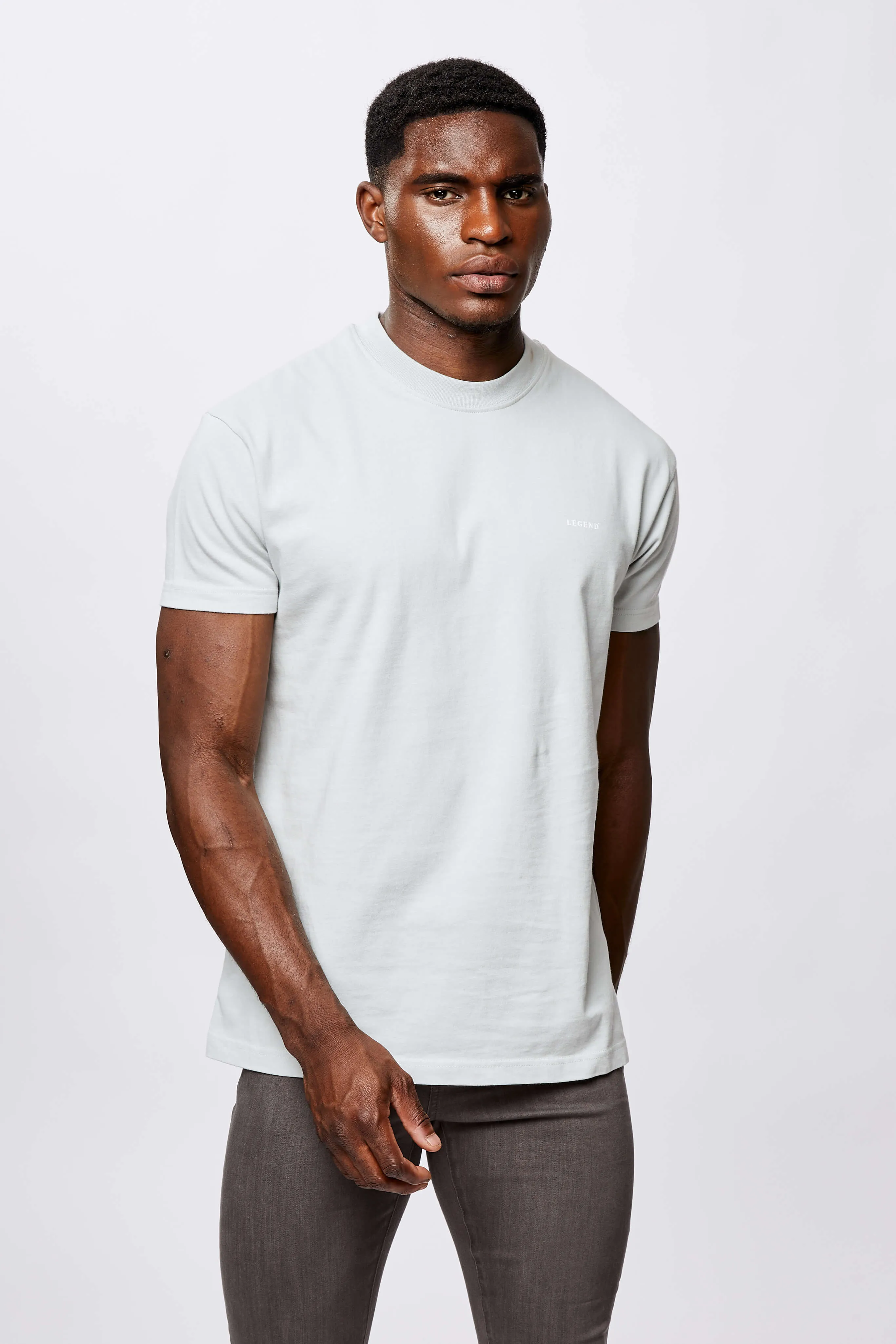 LEGEND* BASICS MUSCLE FIT T-SHIRT - PEARL GREY