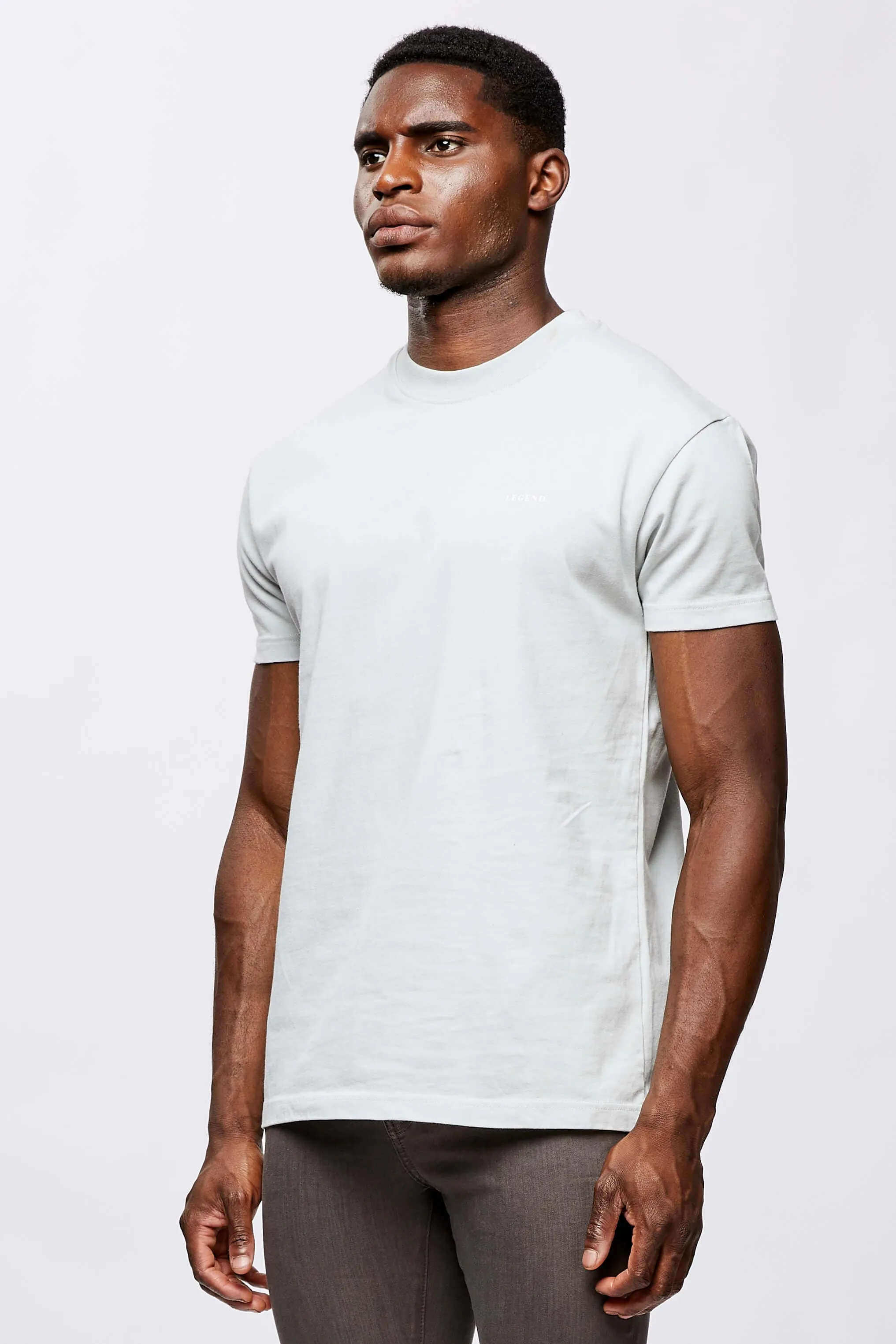 LEGEND* BASICS MUSCLE FIT T-SHIRT - PEARL GREY