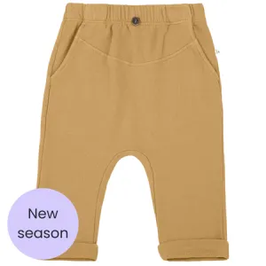Ochre Joggers