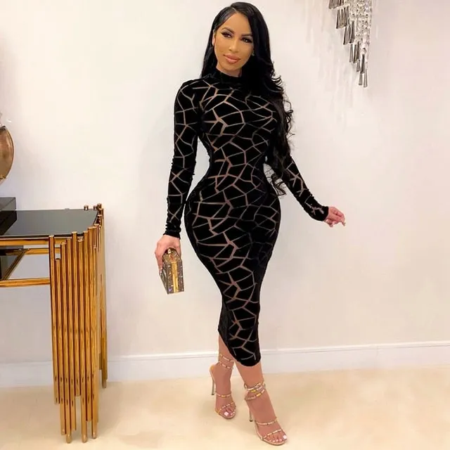 Sheath Slim Transparent Sheer Mesh Dress