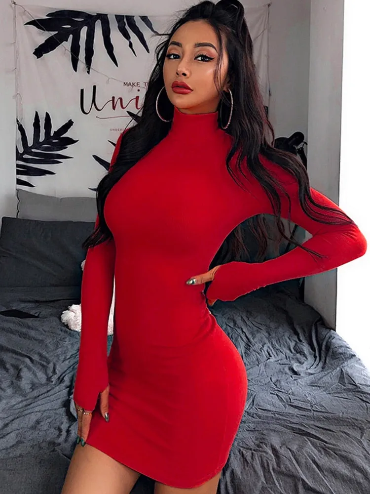 Skinny Turtleneck Knit Mini Dress