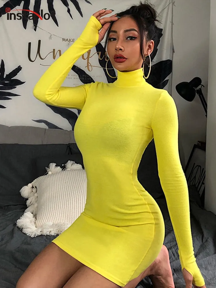 Skinny Turtleneck Knit Mini Dress