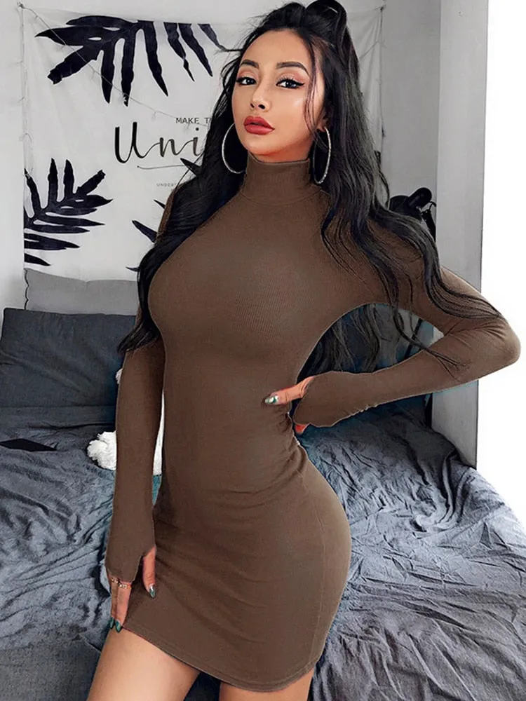 Skinny Turtleneck Knit Mini Dress
