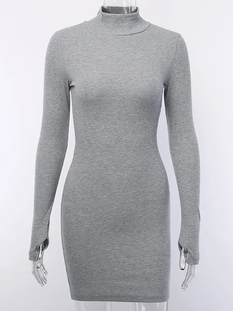 Skinny Turtleneck Knit Mini Dress