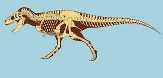 Tinker the T.rex skeleton cast replica T-rex Tinker