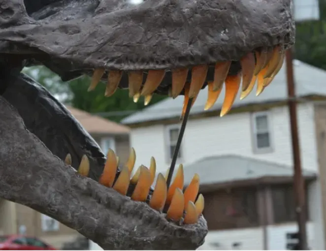 Tinker the T.rex skeleton cast replica T-rex Tinker