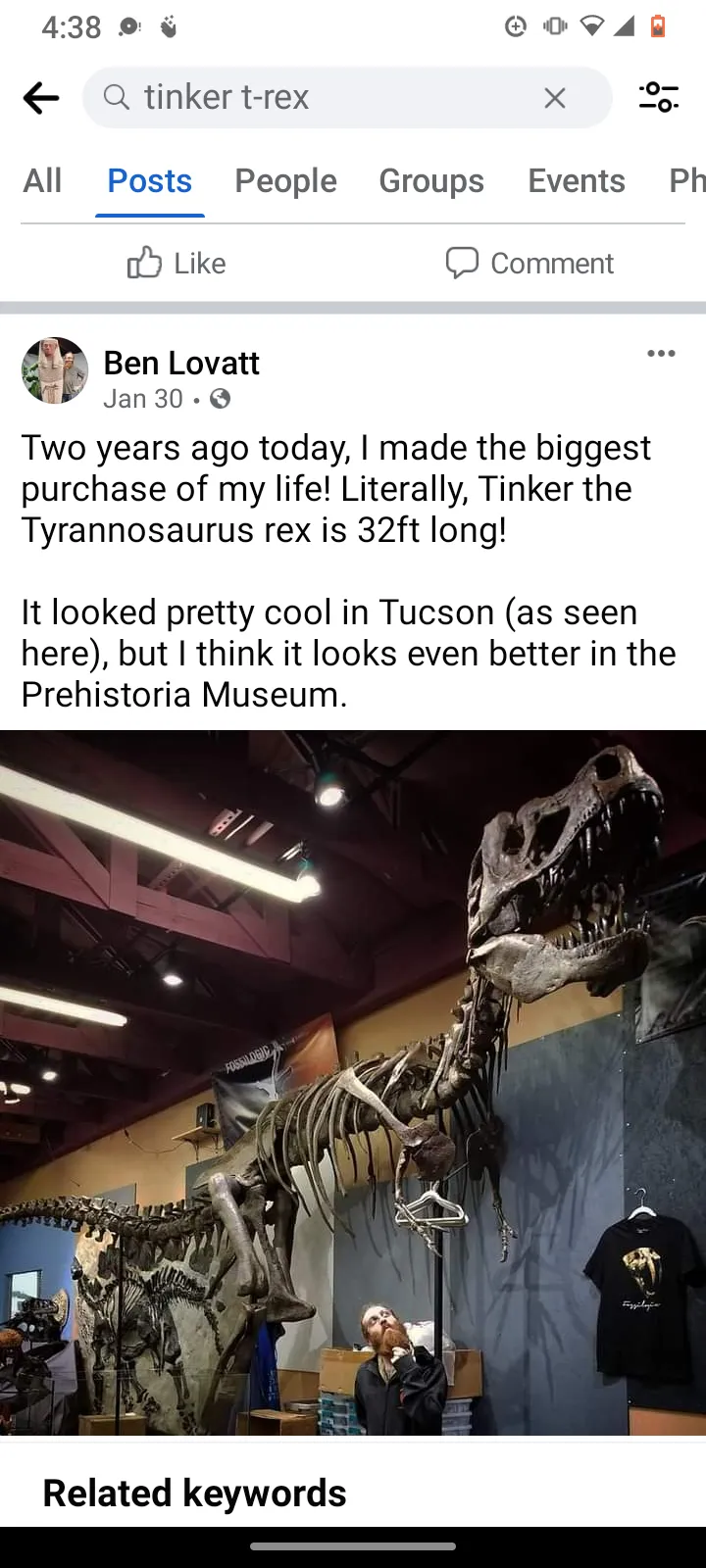 Tinker the T.rex skeleton cast replica T-rex Tinker