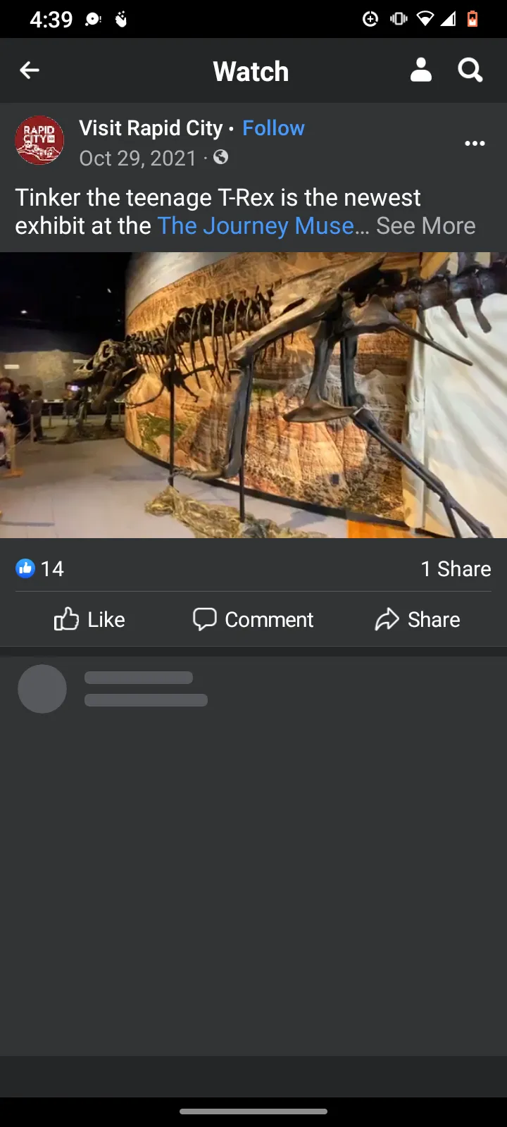 Tinker the T.rex skeleton cast replica T-rex Tinker