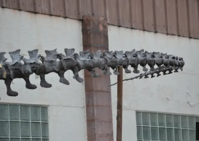 Tinker the T.rex skeleton cast replica T-rex Tinker