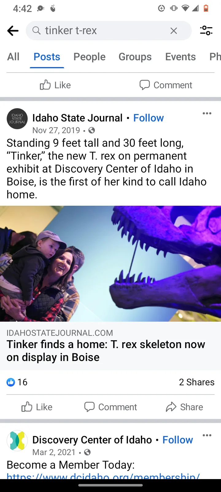 Tinker the T.rex skeleton cast replica T-rex Tinker