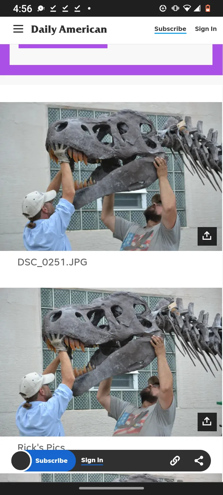 Tinker the T.rex skeleton cast replica T-rex Tinker