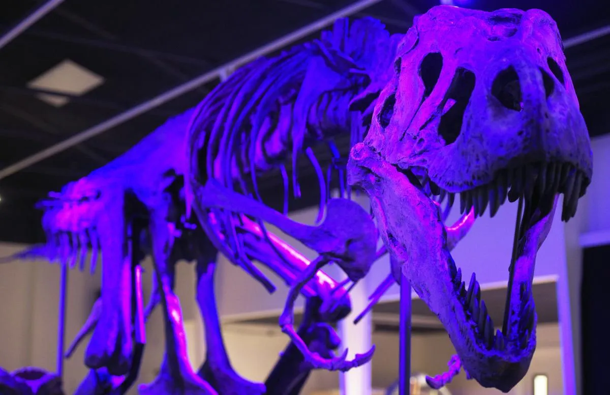 Tinker the T.rex skeleton cast replica T-rex Tinker