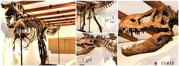 Tinker the T.rex skeleton cast replica T-rex Tinker