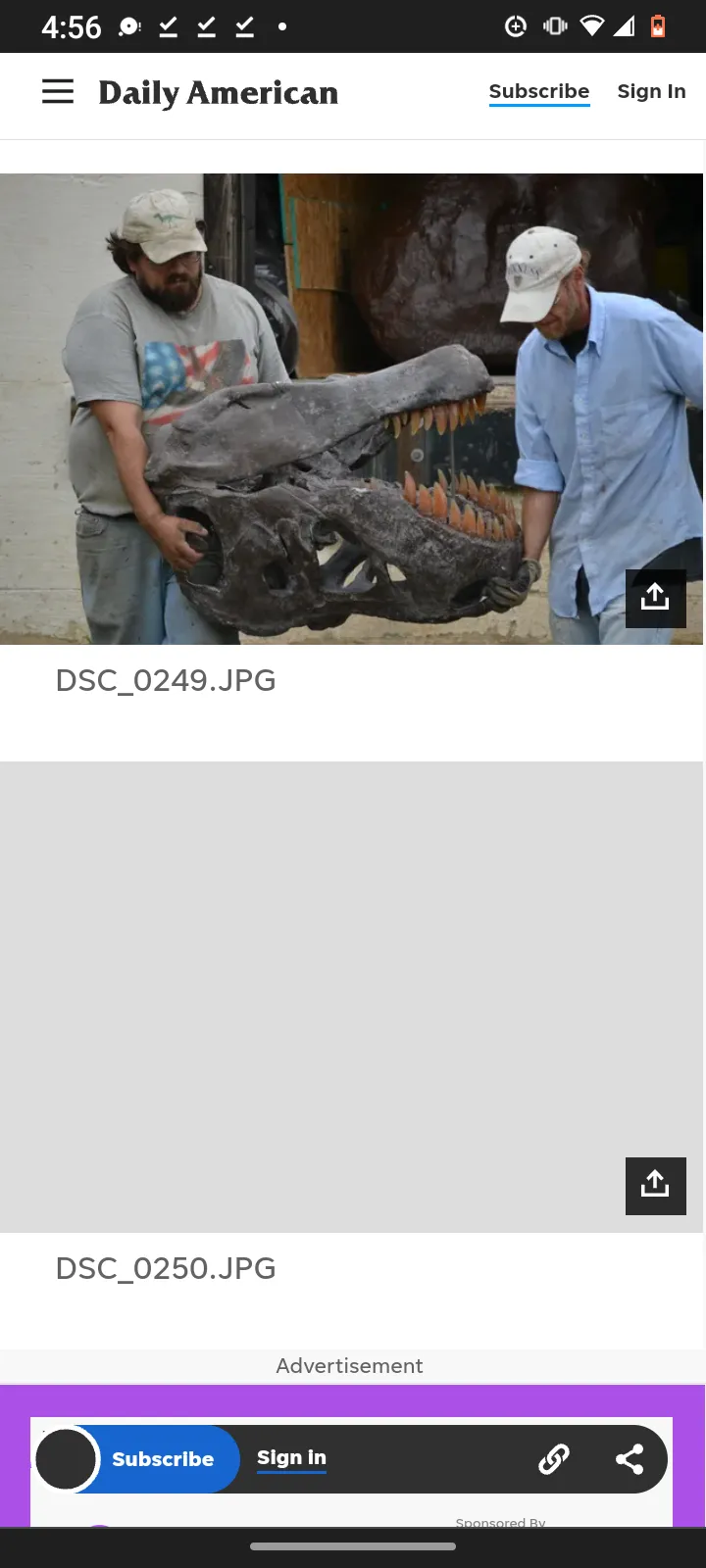 Tinker the T.rex skeleton cast replica T-rex Tinker