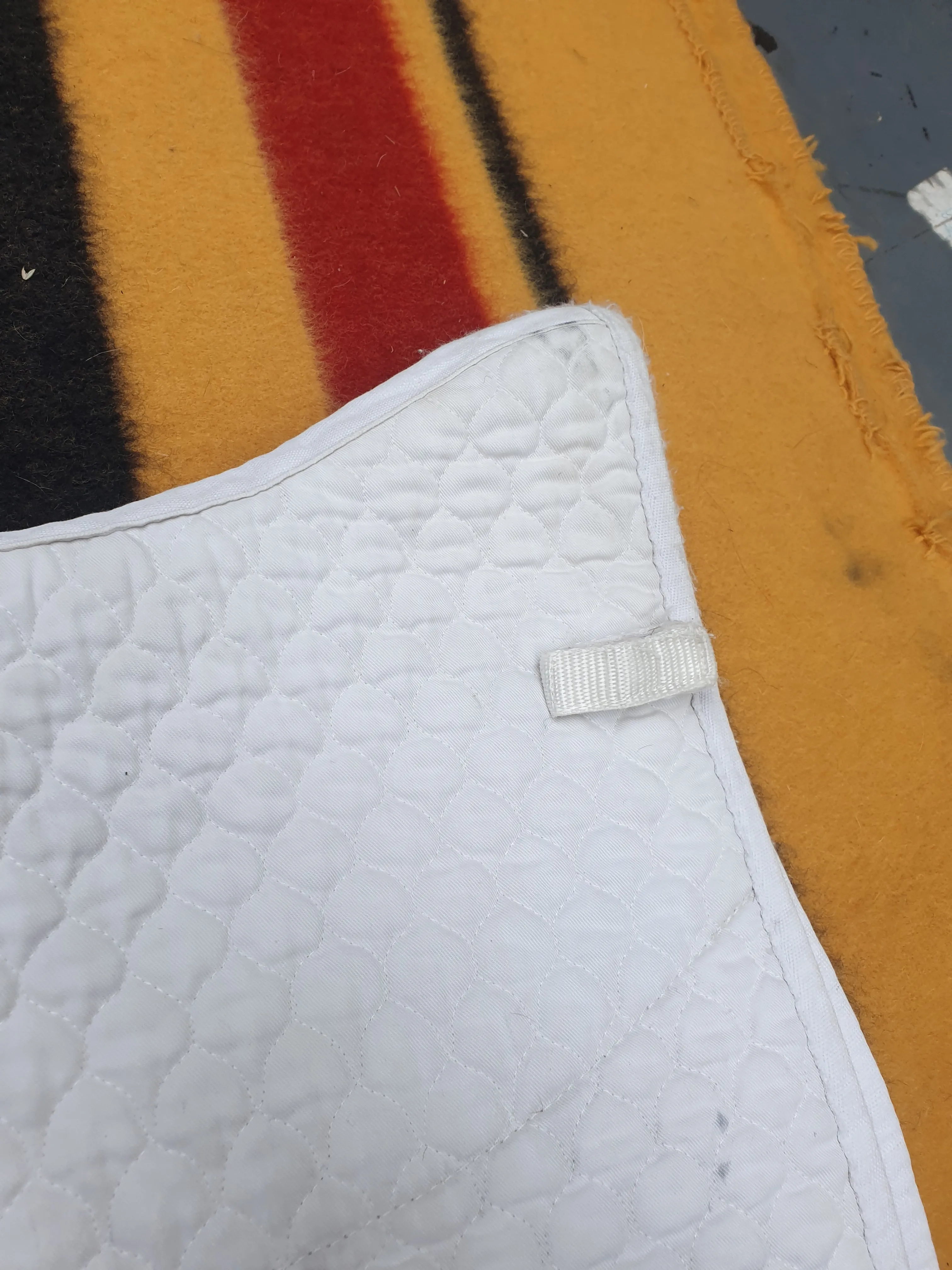 Used Griffin Hi Wither white saddle pad FREE POSTAGE ✅