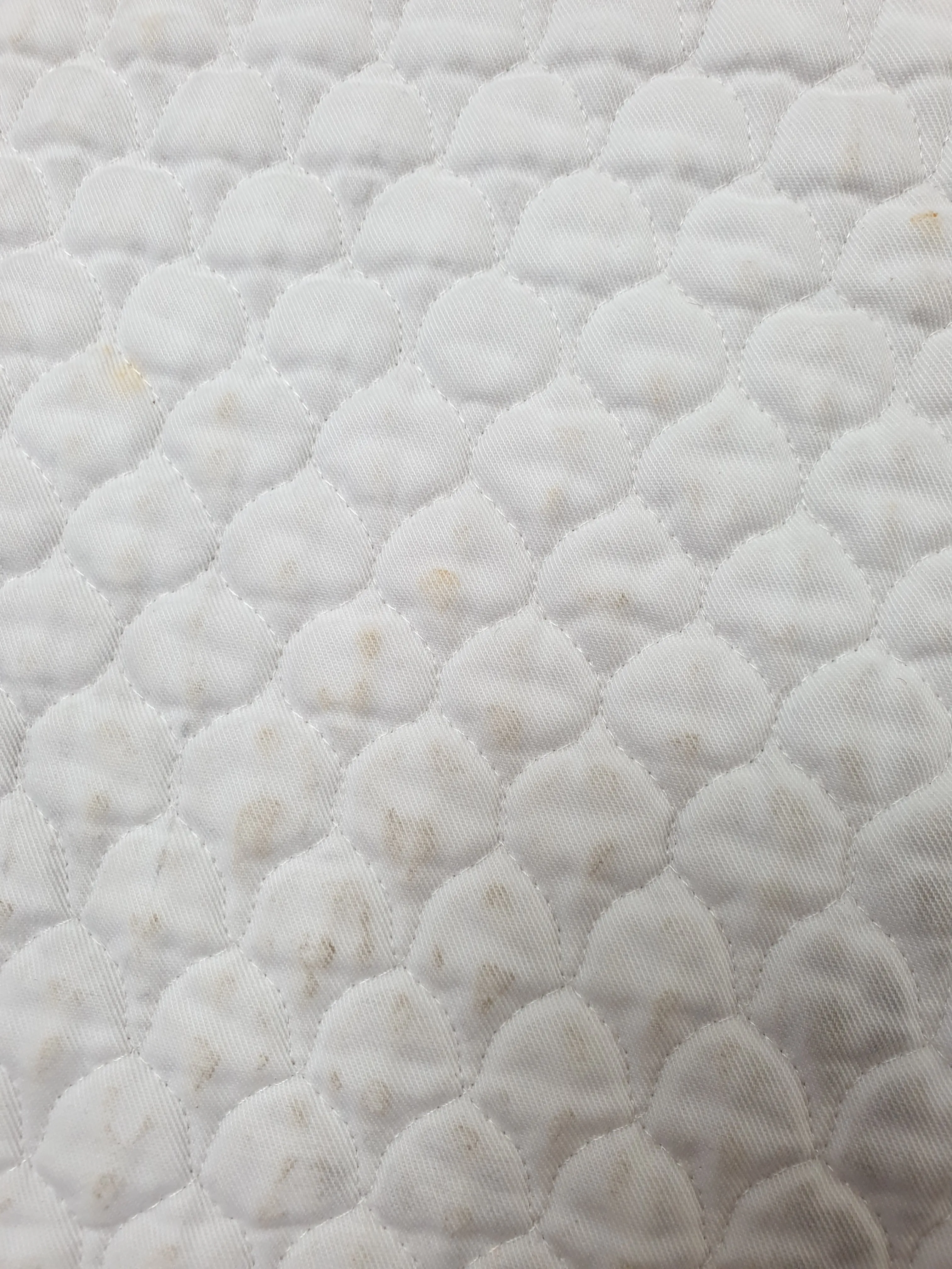 Used Griffin Hi Wither white saddle pad FREE POSTAGE ✅