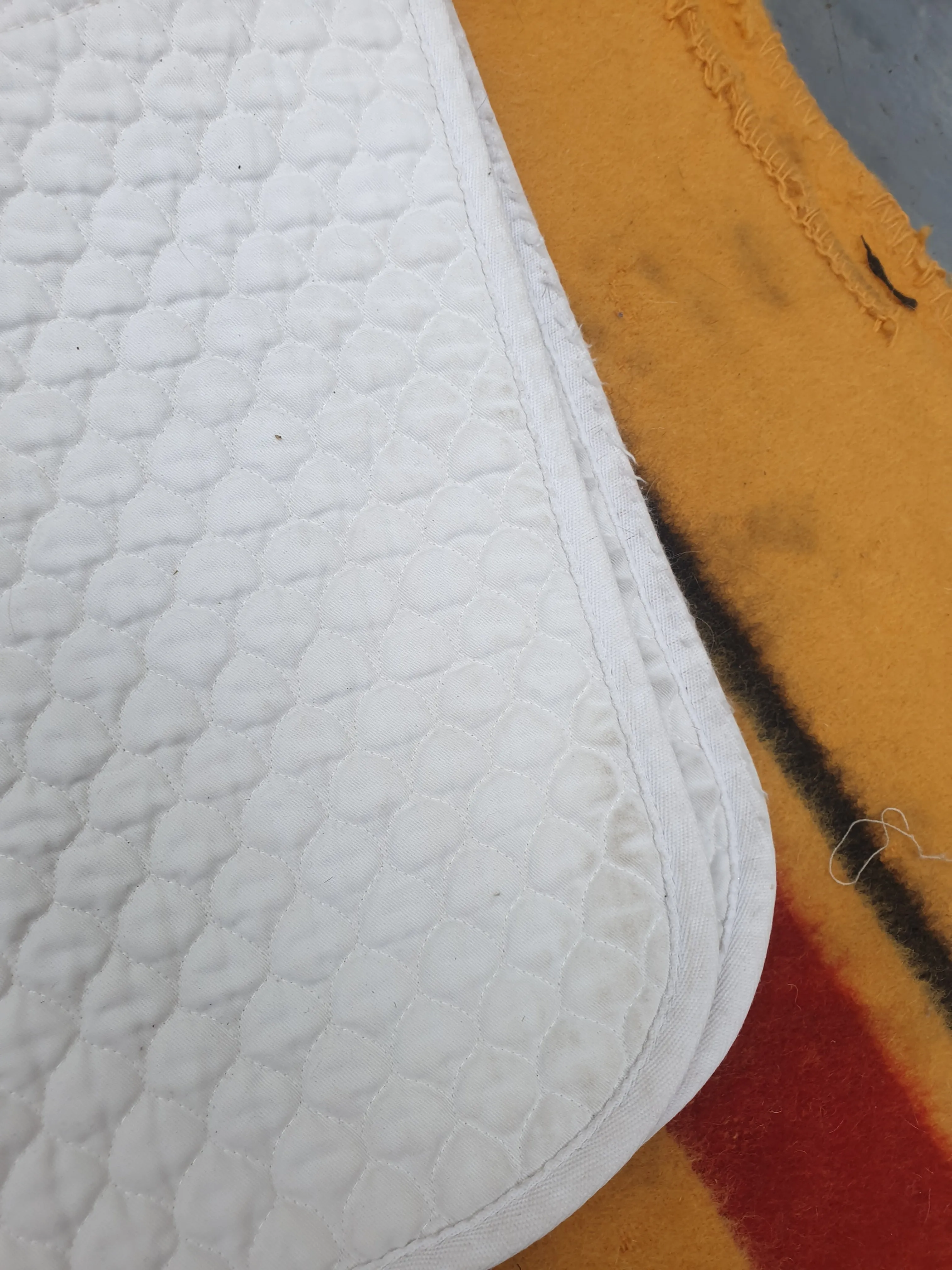 Used Griffin Hi Wither white saddle pad FREE POSTAGE ✅